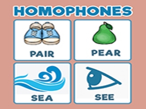 Homophones Kindergarten Worksheets