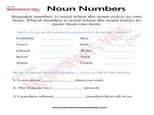 Noun Numbers Worksheets for Grade 2 for Kids