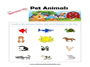 Pet Animals Worksheet
