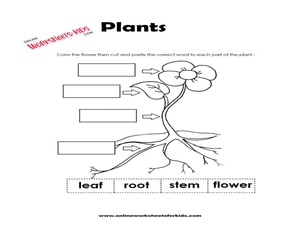 Plants Worksheets Kindergarten worksheets