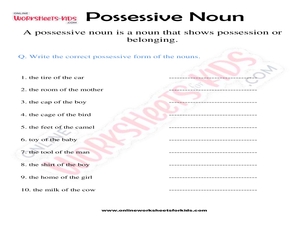 Possessive Noun Worksheets for Grade 2 for Kids