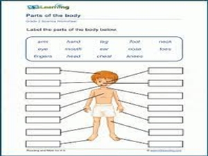 Science Worksheets for Grade 2 Kids