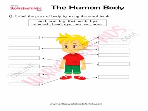The Human Body Worksheets for Grade 2 for Kids