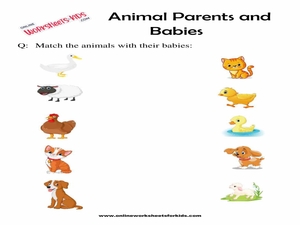 Animals And Their Babies Worksheets
