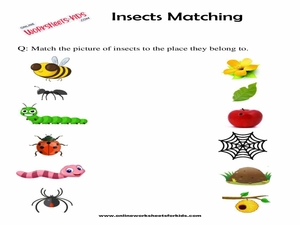 Insect Worksheets Preschool