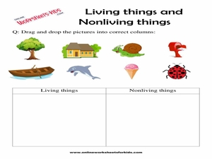 Living And Non Living Things Worksheet