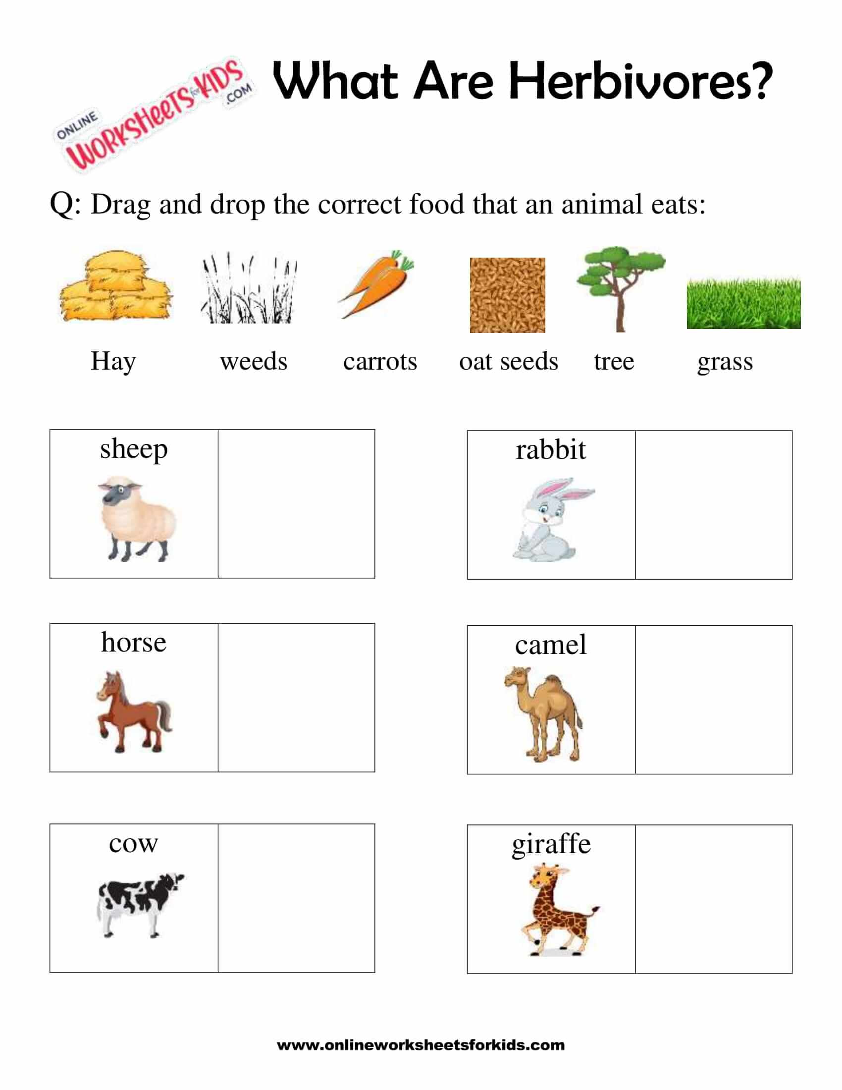 What Are Herbivores Worksheet 04 for Grade 1